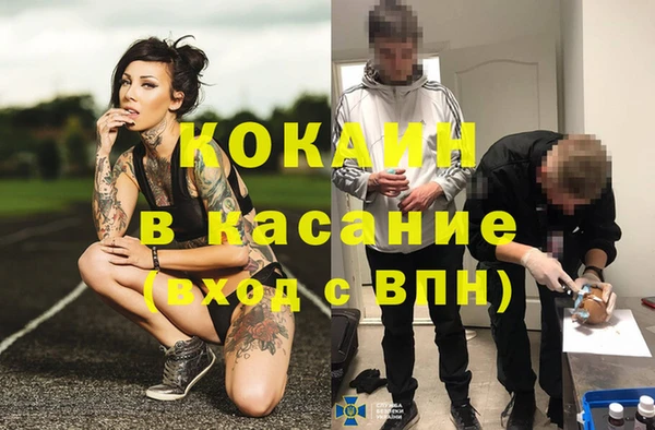 спиды Инсар