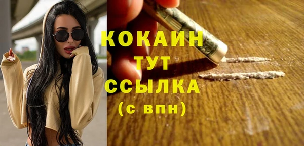 спиды Инсар